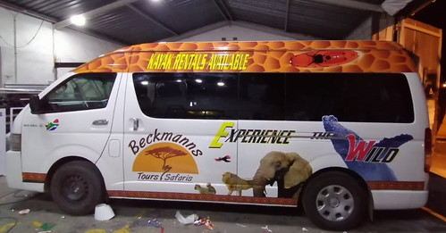 Beckmann's Tours Vehicle Branding.jpg