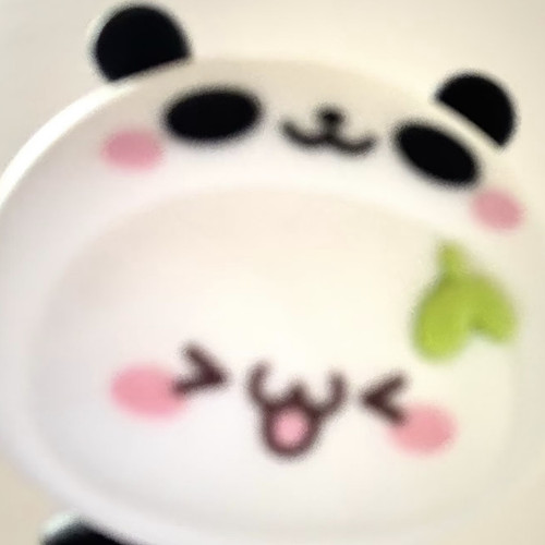 Camera 1040g3k831rq75f46igag5nsbgfdg814gt4b9mlg 1.jpg