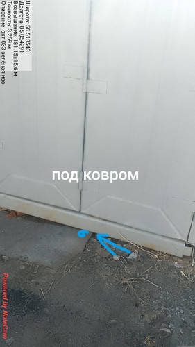 749.jpg