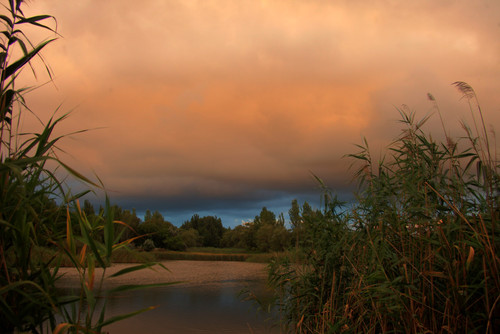 rl 45089486194 o.jpg