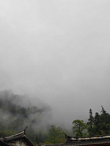 IMG 20260407 075915.jpg