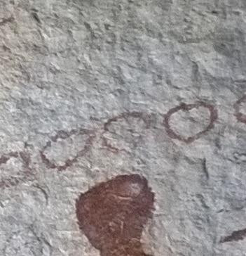 1934 image crop 700 50 900 300.jpg