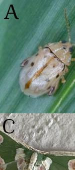 1076 image crop 0 0 500 333.jpg