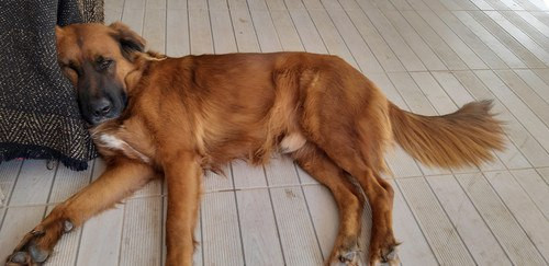 f91a0b10 bb4f 44f5 9050 27b48c20ff5b.jpg