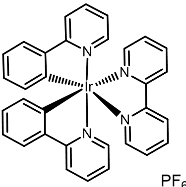 2024 image crop 50 100 250 700.png