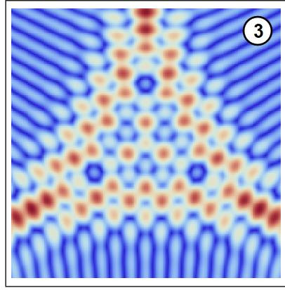 2409 image crop 0 500 500 1000.jpg