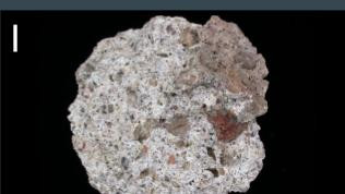 1525 image crop 560 150 890 480.jpg