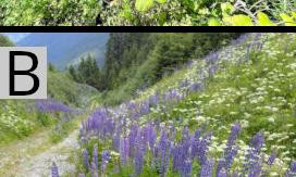 1075 image crop 0 300 500 500.jpg