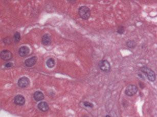 2350 image crop 0 0 300 300.jpg