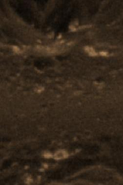 2469 image crop 0 250 300 700.jpg