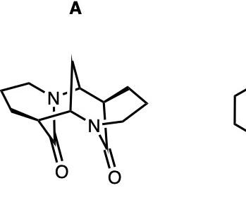 728 image crop 50 550 400 950.jpg