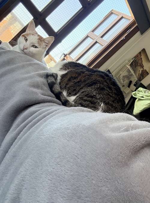 HFOFgueaAAAhX W?format=jpg.jpg