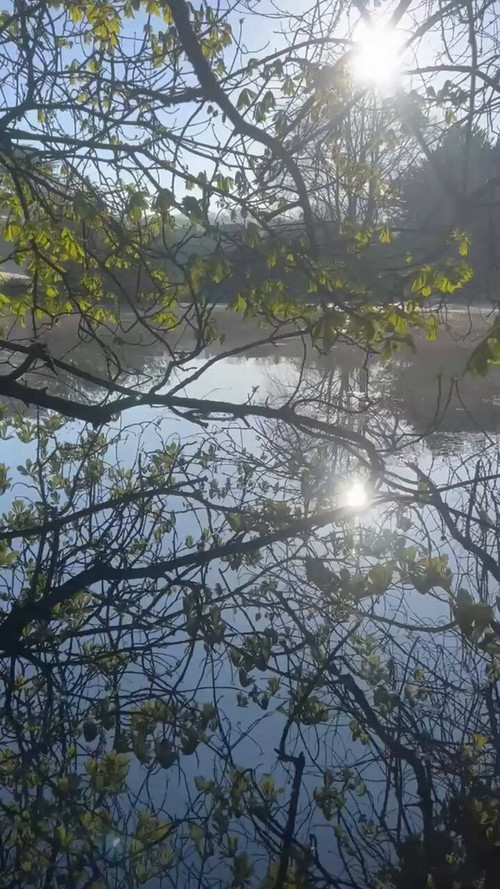 LyMFu 0 qFsJHm1A.jpg