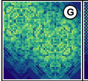 2495 image crop 500 400 680 600.png