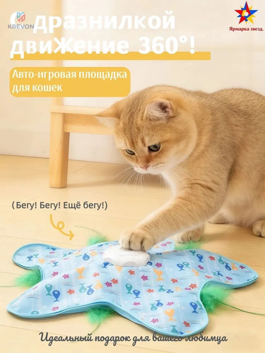 49036eda77ce.jpg