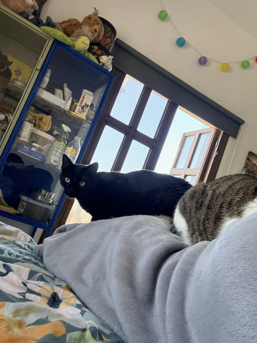 HFOFgt XoAAa5bu?format=jpg.jpg