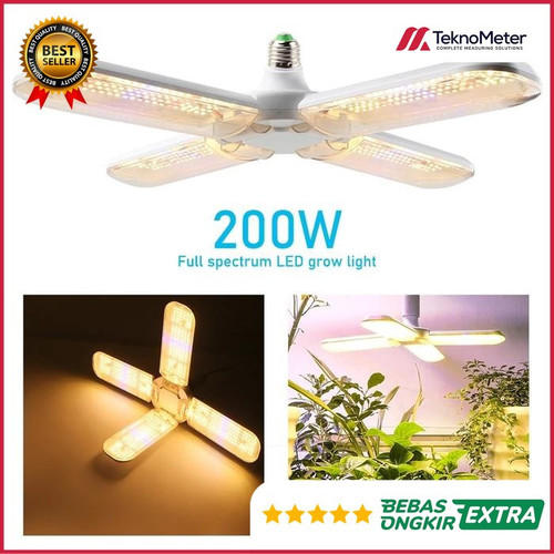 2617ec521fdd.jpg