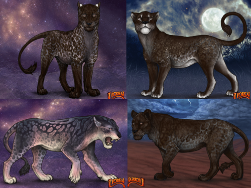 Untitled Artwork.png