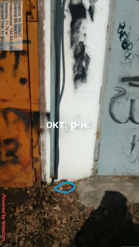 731.jpg