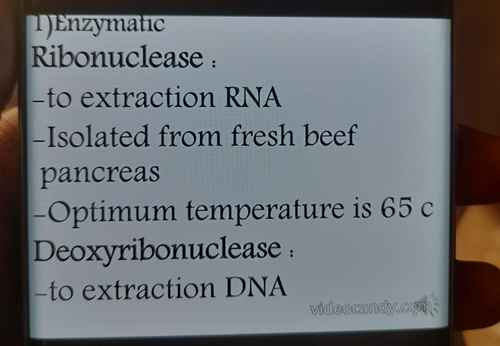 temp.png