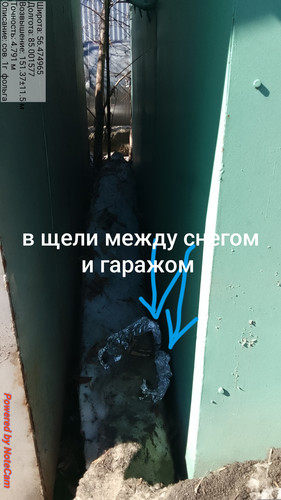 736.jpg