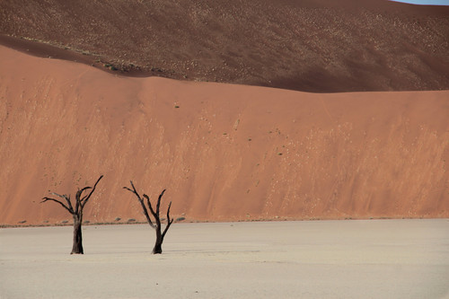rudi nel namibia 10183496.jpg