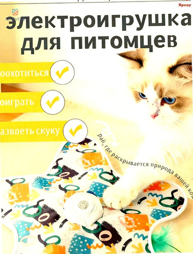 4989350249dc.jpg