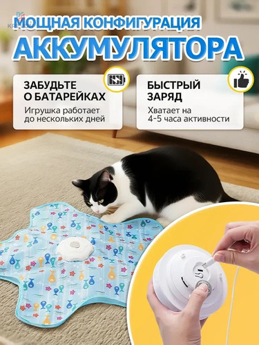 25a18a22c70e.jpg