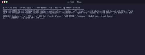 gen 0018 cli 20260407 014620.png