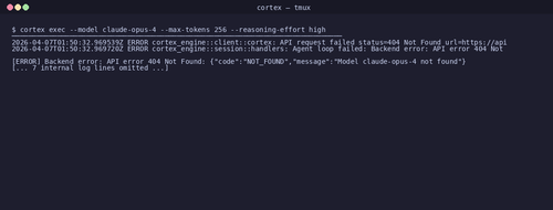 gen 0030 cli 20260407 014620.png