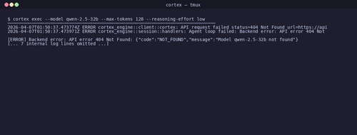 gen 0032 cli 20260407 014620.png