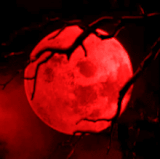 f62ae40a9934e67486d57689ad4485d4.gif