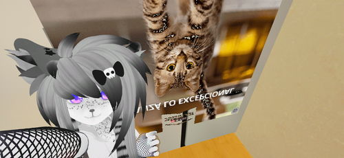 imagen.png