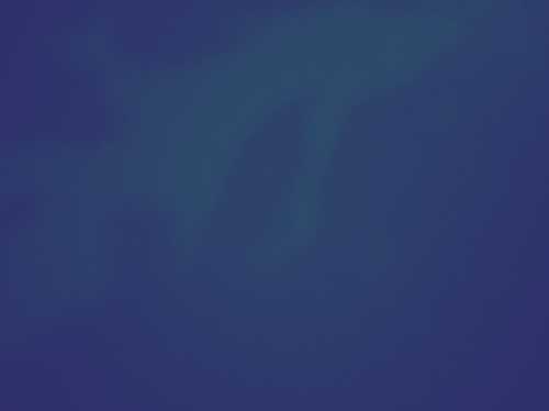 temp.png