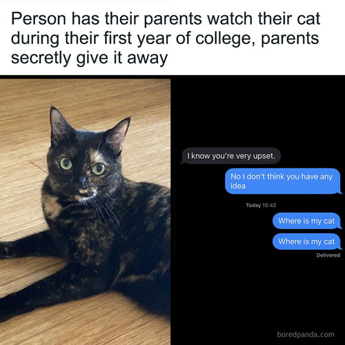 parents give away cat.jpg