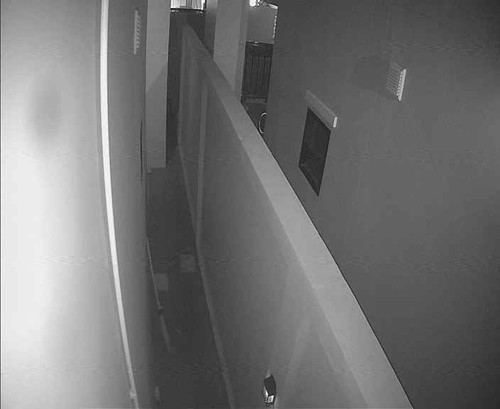 a78fa070f517.jpg