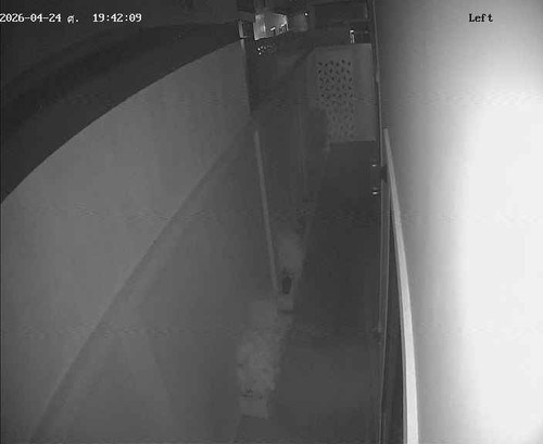96309fe4d073.jpg