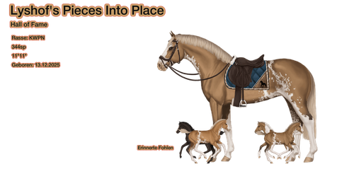 MyHorsez Banner.png