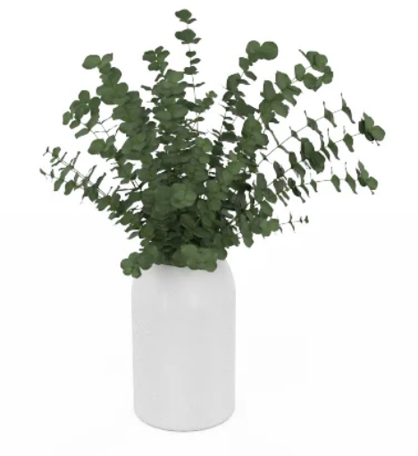 PureRef hQRTifQSvT.png