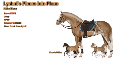 MyHorsez Banner.png