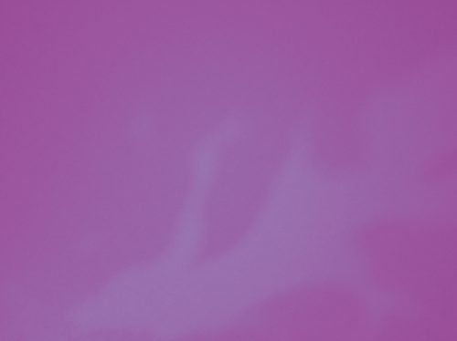 temp.png