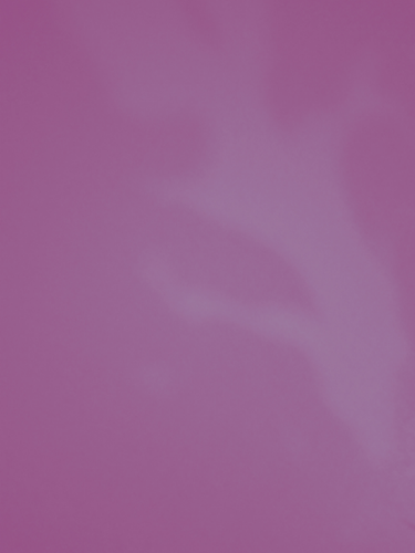 temp.png