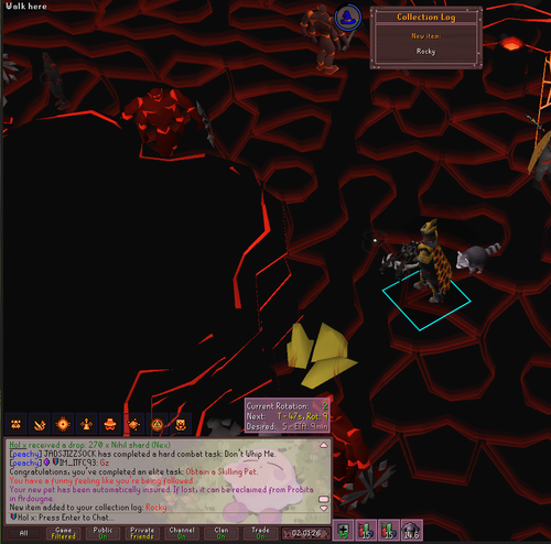 RuneLite hUDAN10L1D.png
