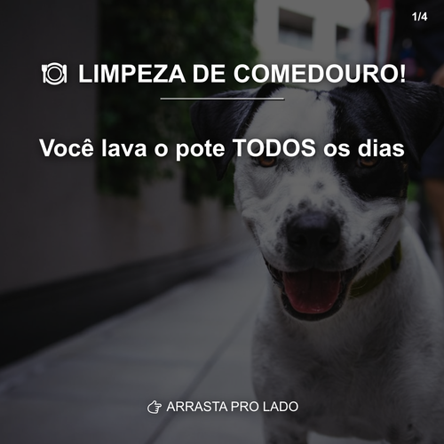 carousel 1777035602472 slide1.png