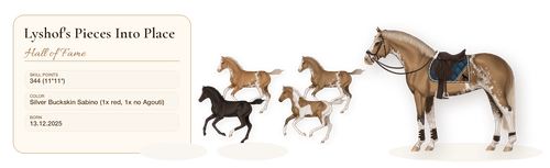 MyHorsez Banner.png