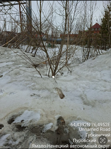 IMG 9932.jpg