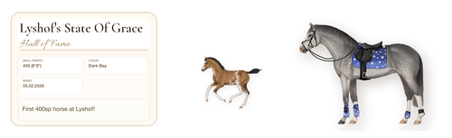 MyHorsez Banner.png