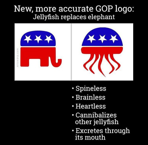 turning ballot box.jpg