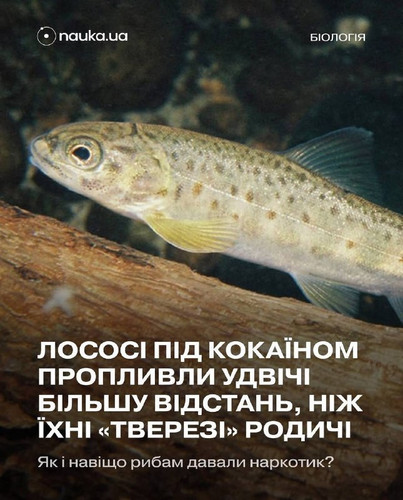 file 135.jpg