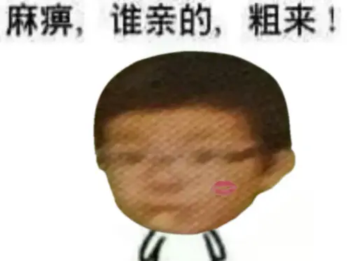 IMG 7067.webp